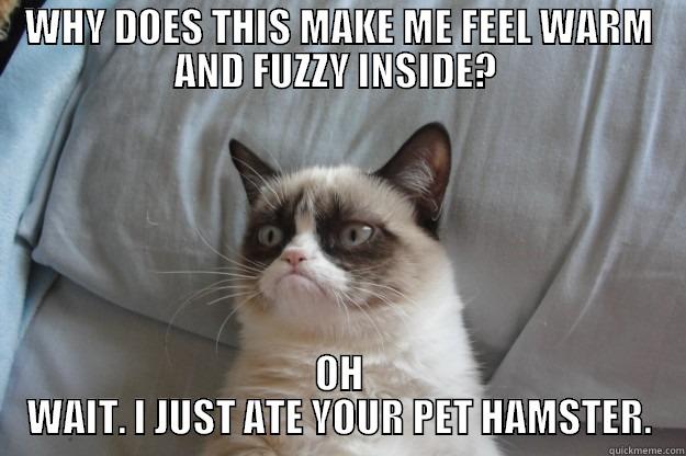WHY DOES THIS MAKE ME FEEL WARM AND FUZZY INSIDE?  OH WAIT. I JUST ATE YOUR PET HAMSTER. Grumpy Cat