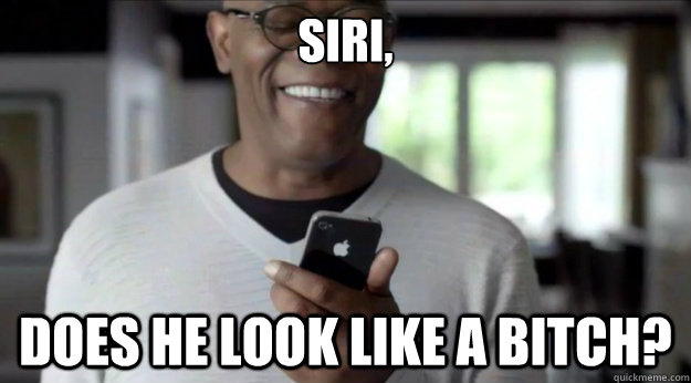 Siri, Does he look like a bitch?  