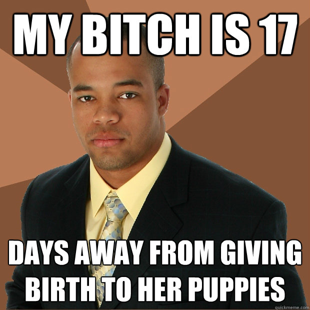 my bitch is 17 days away from giving birth to her puppies  Successful Black Man