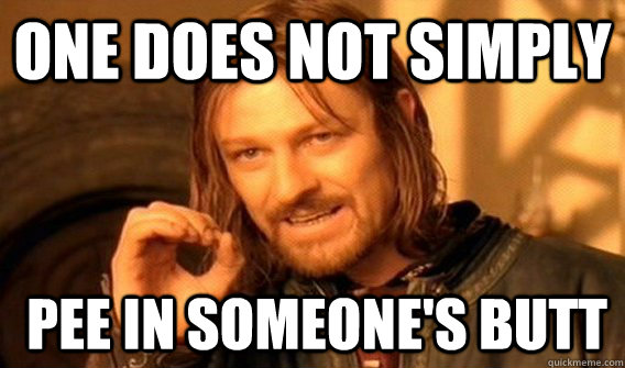 One does not simply Pee in someone's butt  Boromir