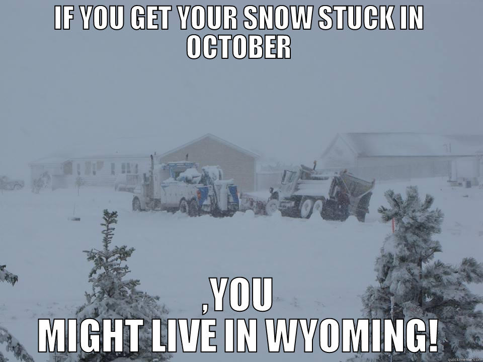 STUCK IN A RUT - IF YOU GET YOUR SNOW STUCK IN OCTOBER ,YOU MIGHT LIVE IN WYOMING! Misc