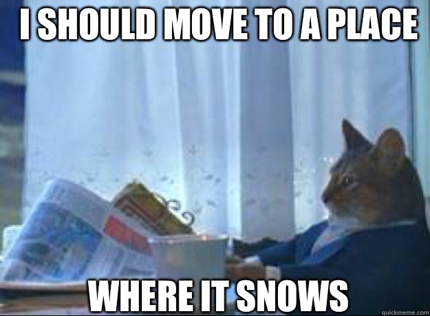 I should move to a place Where it snows  I should buy a boat cat