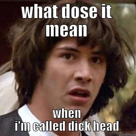 WHAT DOSE IT MEAN WHEN I'M CALLED DICK HEAD conspiracy keanu