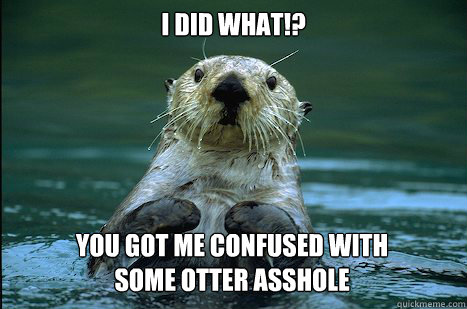 I did what!? You got me confused with some otter asshole - I did what!? You got me confused with some otter asshole  Otter Test