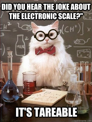 Did you hear the joke about the electronic scale?