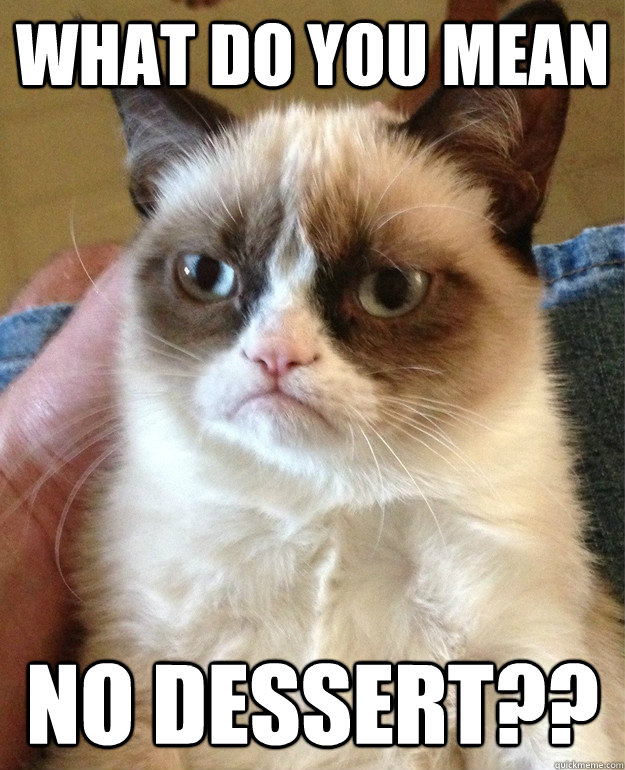 What do you mean No dessert??    Grumpy Cat