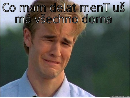 CO MAM DELAT MENT UŠ MÁ VŠECHNO DOMA  1990s Problems