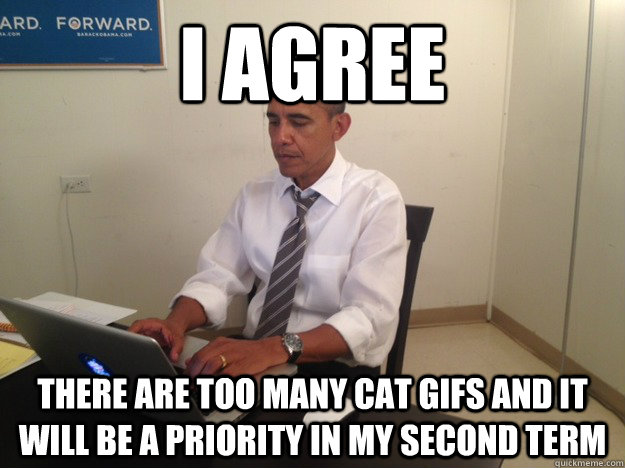 I Agree There Are Too Many Cat GIFS and It Will Be A priority In My Second Term  President AMA