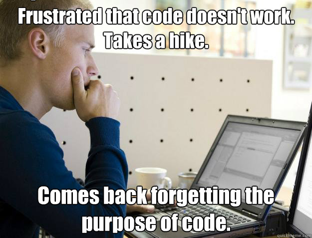 Frustrated that code doesn't work. Takes a hike. Comes back forgetting the purpose of code. Caption 3 goes here - Frustrated that code doesn't work. Takes a hike. Comes back forgetting the purpose of code. Caption 3 goes here  Programmer