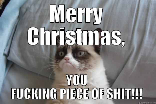 MERRY CHRISTMAS, YOU FUCKING PIECE OF SHIT!!! Grumpy Cat