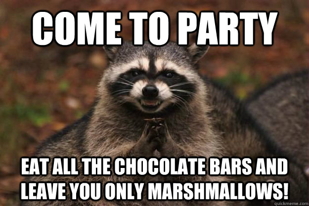 Come to party Eat all the chocolate bars and leave you only marshmallows!  Evil Plotting Raccoon