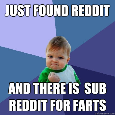 Just Found reddit and there is  sub reddit for farts  Success Kid