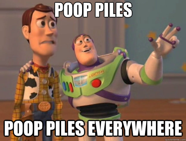 poop piles poop piles everywhere  Toy Story