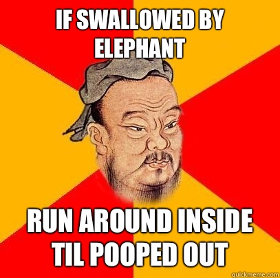 If swallowed by elephant Run around inside til pooped out  Confucius says