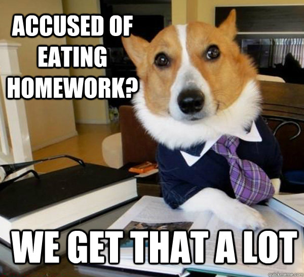 Accused of eating homework? We get that a lot - Accused of eating homework? We get that a lot  Lawyer Dog