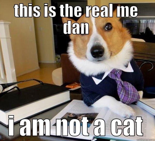 THIS IS THE REAL ME DAN I AM NOT A CAT Lawyer Dog