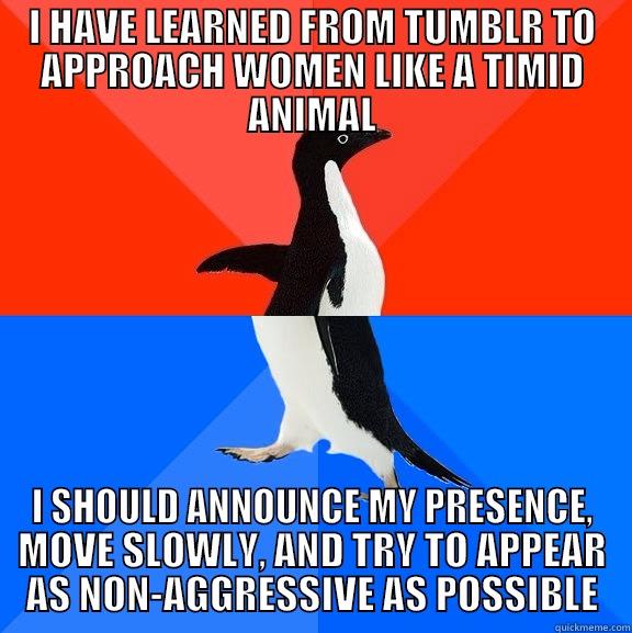 I HAVE LEARNED FROM TUMBLR TO APPROACH WOMEN LIKE A TIMID ANIMAL I SHOULD ANNOUNCE MY PRESENCE, MOVE SLOWLY, AND TRY TO APPEAR AS NON-AGGRESSIVE AS POSSIBLE Socially Awesome Awkward Penguin