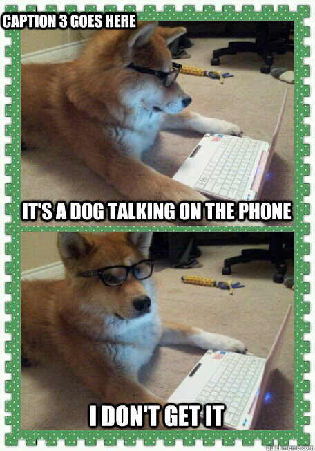 It's a dog talking on the phone I don't get it Caption 3 goes here  hello