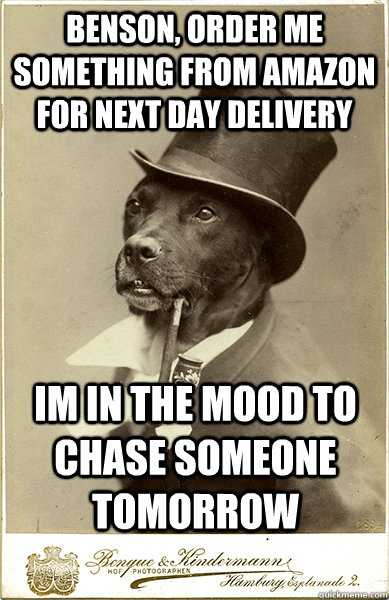 benson, order me something from amazon for next day delivery im in the mood to chase someone tomorrow  Old Money Dog