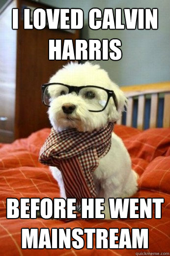 I Loved Calvin Harris 
 Before He Went mainstream   Hipster Dog