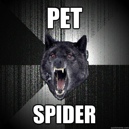 PET Spider - PET Spider  Insanity Wolf