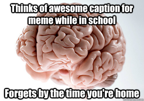 Thinks of awesome caption for meme while in school Forgets by the time you're home  Scumbag Brain