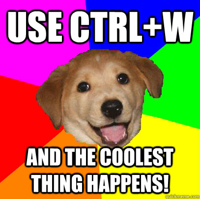 Use ctrl+w and the coolest thing happens!  Advice Dog