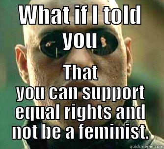 What if I told You you don't have to support feminism - WHAT IF I TOLD YOU THAT YOU CAN SUPPORT EQUAL RIGHTS AND NOT BE A FEMINIST. Matrix Morpheus