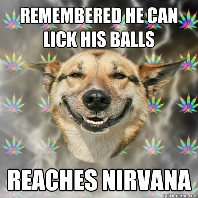 remembered he can lick his balls reaches nirvana  Stoner Dog