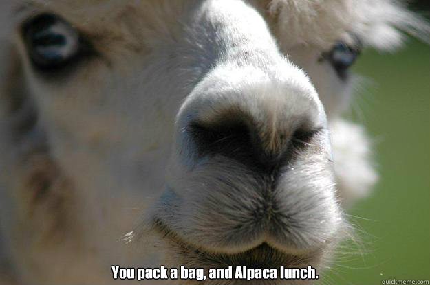  You pack a bag, and Alpaca lunch. -  You pack a bag, and Alpaca lunch.  Punny Alpaca