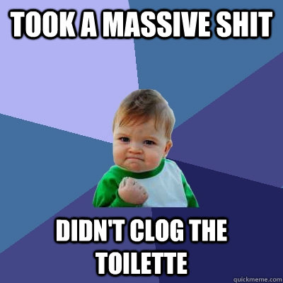 Took a massive shit didn't clog the toilette  Success Kid