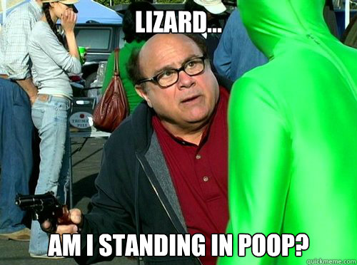 lizard... am i standing in poop?  Always Sunny Lizard