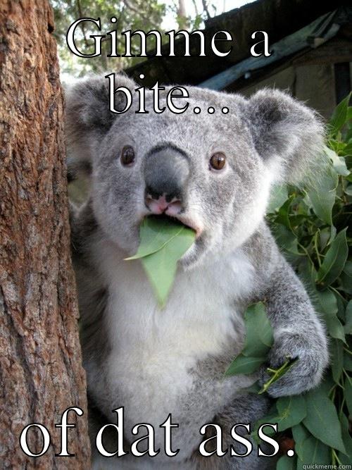 GIMME A BITE... OF DAT ASS.  koala bear