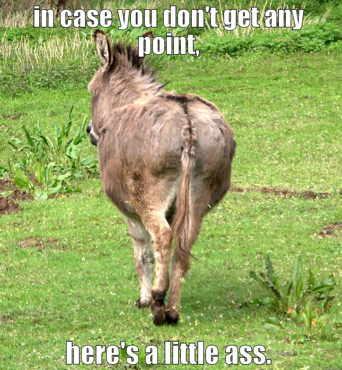 IN CASE YOU DON'T GET ANY POINT, HERE'S A LITTLE ASS. Misc