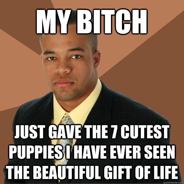 My bitch just gave the 7 cutest puppies I have ever seen the beautiful gift of life  Successful Black Man