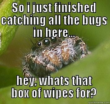 all the wipes - SO I JUST FINISHED CATCHING ALL THE BUGS IN HERE... HEY, WHATS THAT BOX OF WIPES FOR? Misunderstood Spider