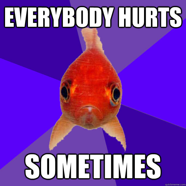 everybody hurts sometimes - everybody hurts sometimes  SAD GOLD FISH