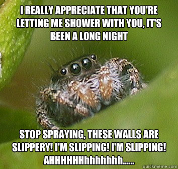 I REALLY APPRECIATE THAT YOU'RE LETTING ME SHOWER WITH YOU, IT'S BEEN A LONG NIGHT STOP SPRAYING, THESE WALLS ARE SLIPPERY! I'M SLIPPING! I'M SLIPPING! AHHHHHHhhhhhhh......  Misunderstood Spider