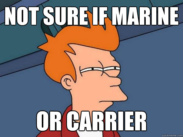 Not sure if Marine Or carrier  Futurama Fry