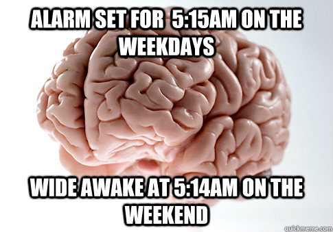 Alarm set for  5:15am on the weekdays Wide awake at 5:14am on the weekend   Scumbag Brain