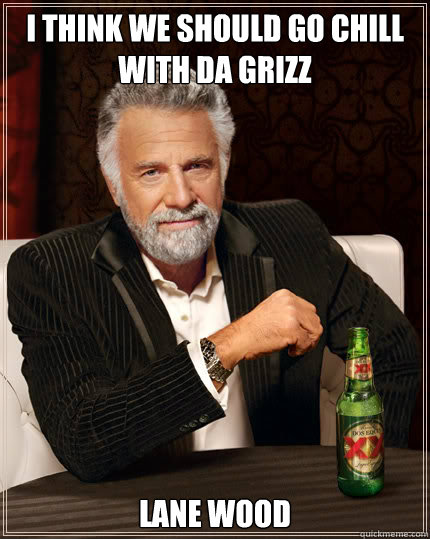 I think we should go chill with da grizz lane wood  Dos Equis man