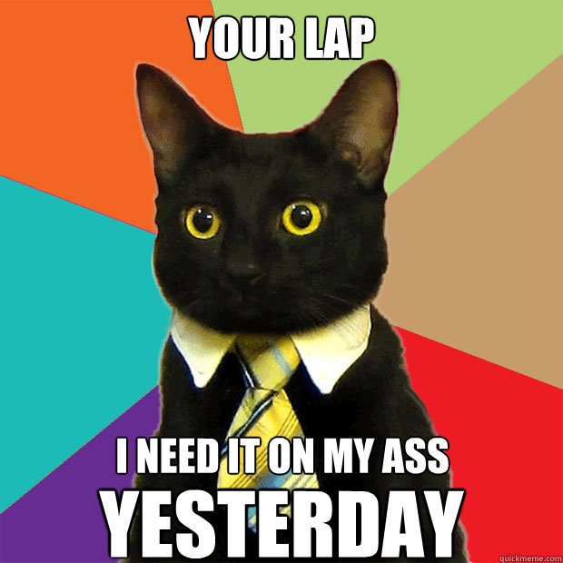 your lap i need it on my ass
 yesterday  Business Cat