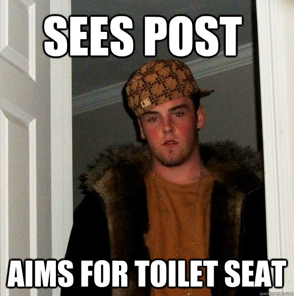 sees post aims for toilet seat - sees post aims for toilet seat  Scumbag Steve