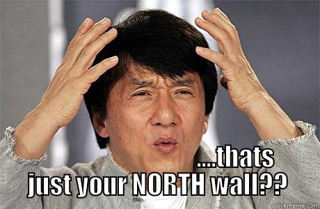                                  ....THATS JUST YOUR NORTH WALL?? EPIC JACKIE CHAN