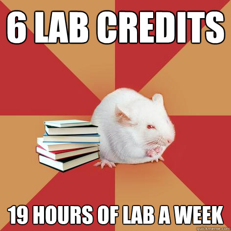 6 lab credits 19 hours of lab a week  Science Major Mouse