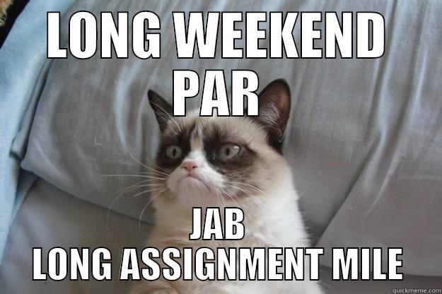 LONG WEEKEND PAR JAB LONG ASSIGNMENT MILE Grumpy Cat