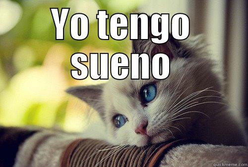 Yo tengo sueno - YO TENGO SUENO  First World Problems Cat