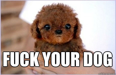 fuck your dog
  Adorable Serious Dog