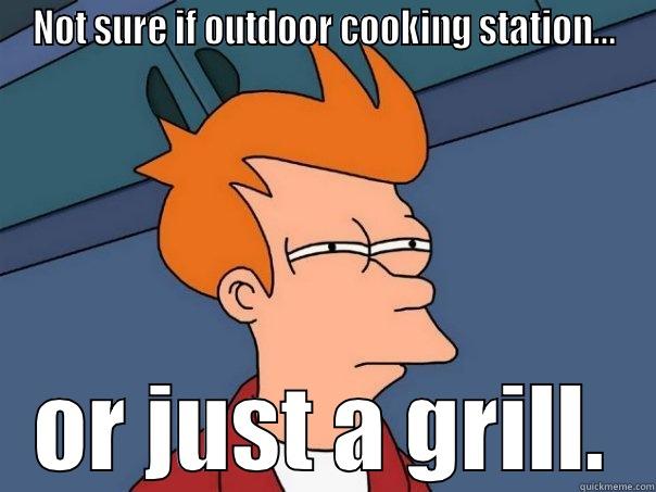 Outdoor Cooking Station? - NOT SURE IF OUTDOOR COOKING STATION... OR JUST A GRILL. Futurama Fry