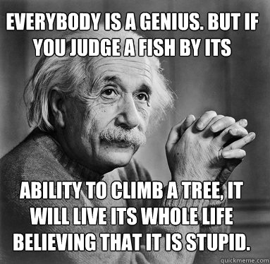 Everybody is a genius. But if you judge a fish by its ability to climb a tree, ability to climb a tree, it will live its whole life believing that it is stupid.  Albert Einstein